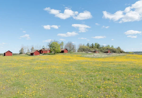 Rural cottage — Stock Photo, Image