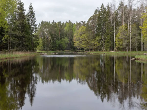 Tavasszal folyó — Stock Fotó