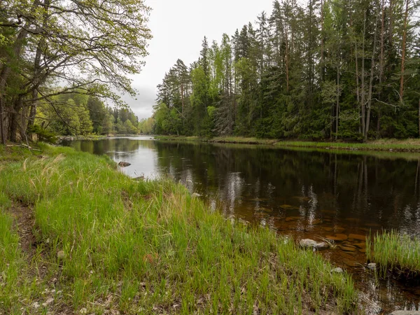 Fluss im Frühling — Stockfoto