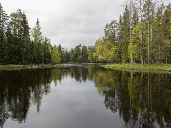 River in spring — Stock Photo, Image