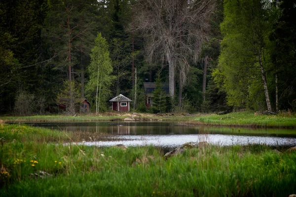 Flod på våren — Stockfoto