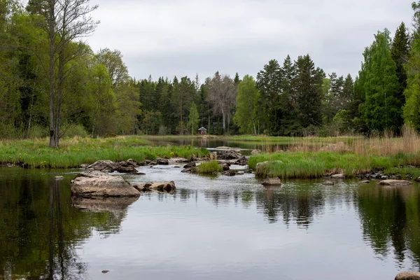 River in spring — Stock Photo, Image