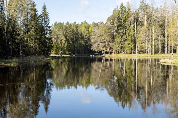 River in spring — Stock Photo, Image