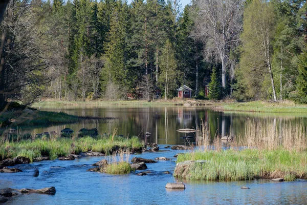 Fluss im Frühling — Stockfoto