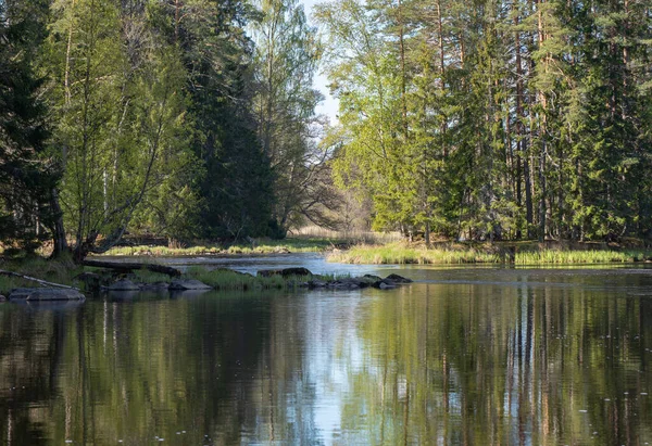 Rzeka wiosną — Zdjęcie stockowe