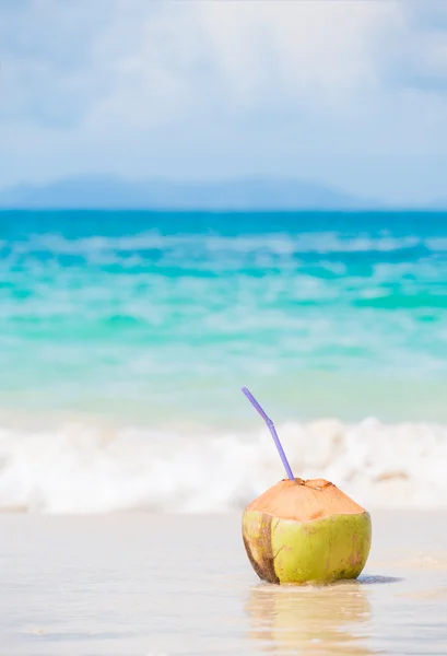 Cocktail di cocco fresco sulla spiaggia tropicale — Foto Stock