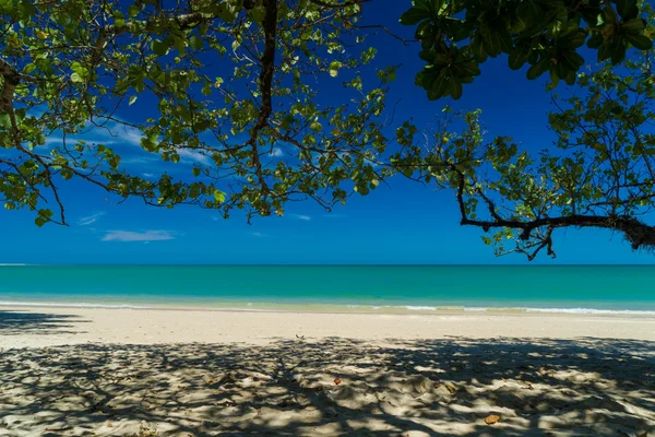 Тропический пляж Као Лак — стоковое фото