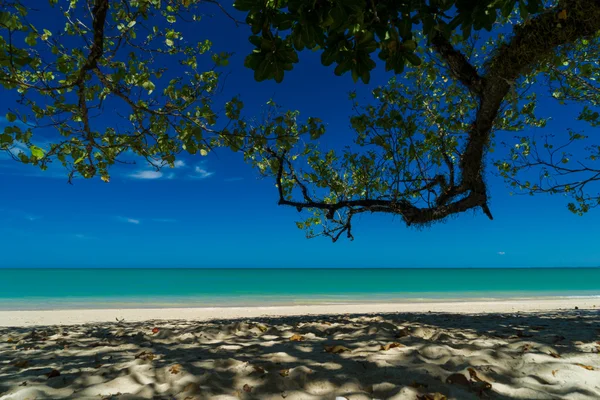 Tropischer Strand von Khao Lak — Stockfoto