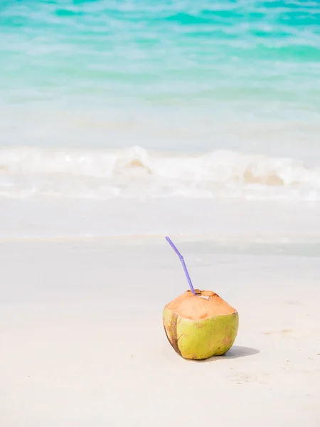 Fresh coconut cocktail on tropical beach — Stock Photo, Image