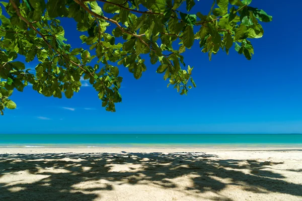 Tropical beach i Khao Lak — Stockfoto