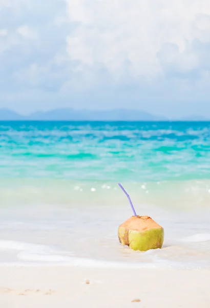 Coco fresco na praia tropical — Fotografia de Stock