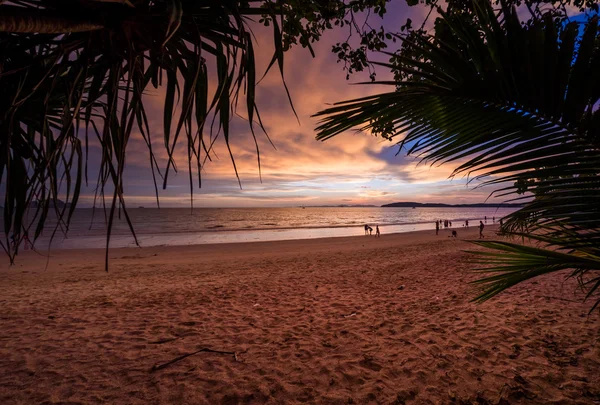 Puesta de sol tropical en la playa. Ao-Nang. Cangrejo —  Fotos de Stock