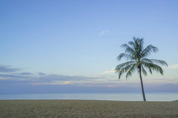 Spiaggia tropicale con palma da cocco — Foto Stock