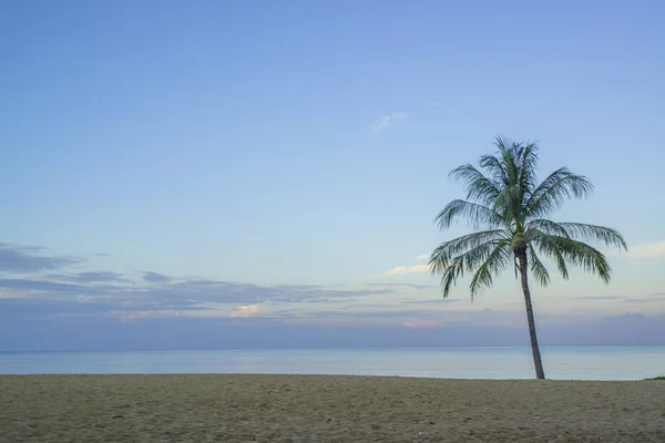 Tropical beach with coconut palm tree — Stock Photo, Image