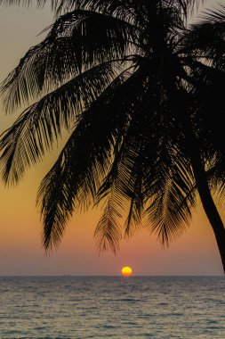 Gün batımında Surin beach Phuket Adası