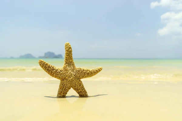 Sjöstjärna på stranden — Stockfoto