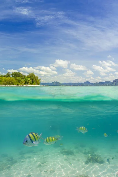 Cuspir foto da ilha de Poda em Krabi — Fotografia de Stock