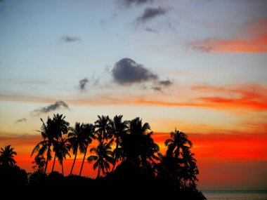 Sunset Beach palmiye ağaçları ve güzel gökyüzü ile. 