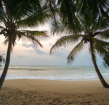 Sunset Beach palmiye ağaçları ve güzel gökyüzü ile. 