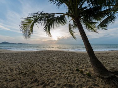 Günbatımında tropik plaj