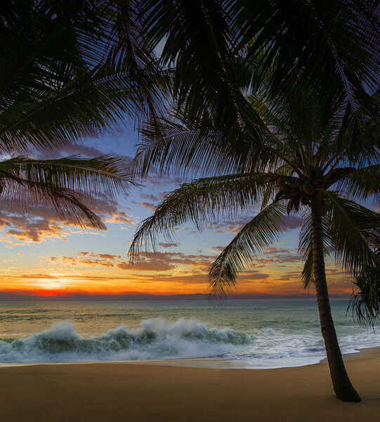 Sunset at the tropical Beach with palm trees and beautiful sky.