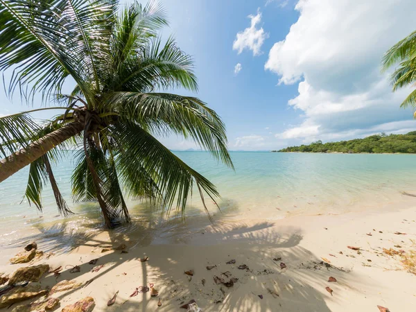 Hermosa playa tropical — Foto de Stock