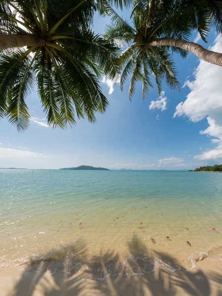 Bela praia tropical — Fotografia de Stock