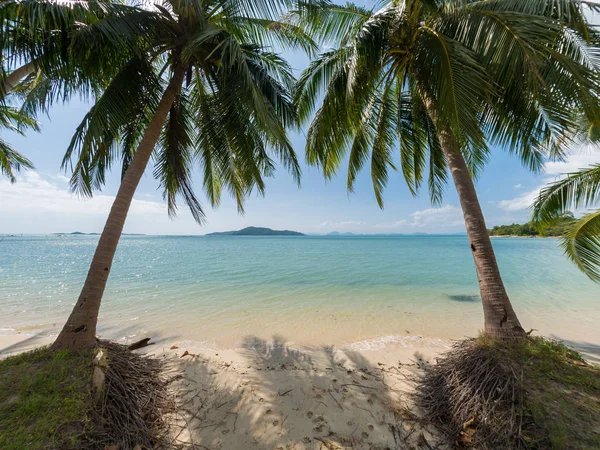 Güzel tropikal plaj