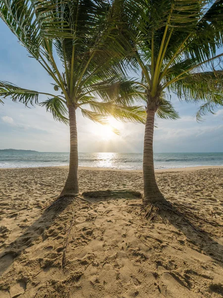 Hermosa playa tropical —  Fotos de Stock