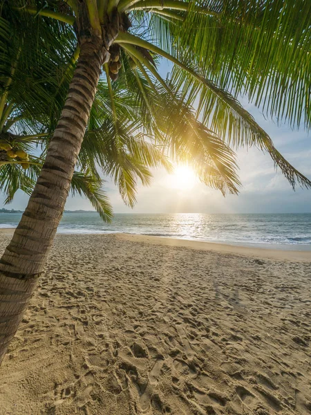 Hermosa playa tropical —  Fotos de Stock