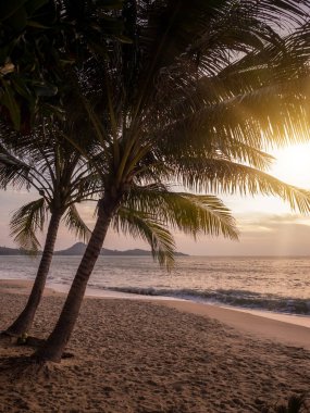 Günbatımında tropik plaj