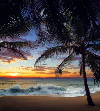 Sunset Beach palmiye ağaçları ve güzel gökyüzü ile. 