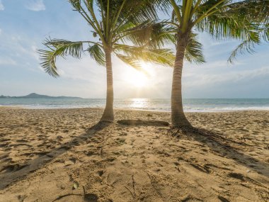 Güzel tropikal plaj