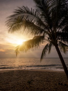 Günbatımında tropik plaj