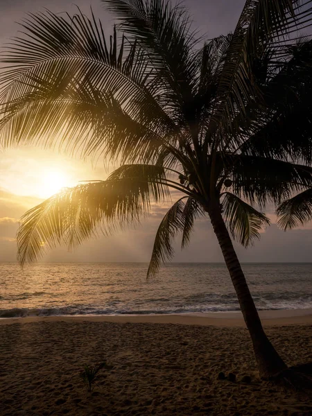 Tropická pláž při západu slunce — Stock fotografie