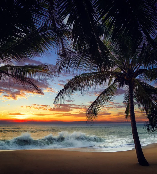 Ηλιοβασίλεμα στην παραλία με φοίνικες και όμορφο ουρανό. — Φωτογραφία Αρχείου