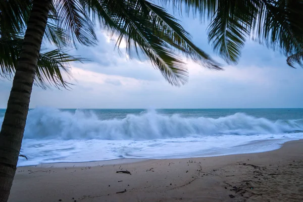 Sunset Beach palmiye ağaçları ve güzel gökyüzü ile. — Stok fotoğraf