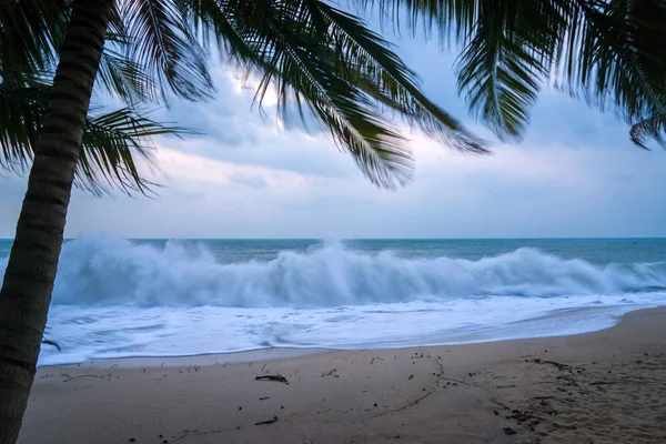 Sunset Beach con palmeras y hermoso cielo . —  Fotos de Stock