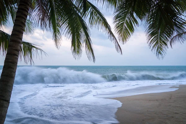 Sunset Beach con palmeras y hermoso cielo . — Foto de Stock