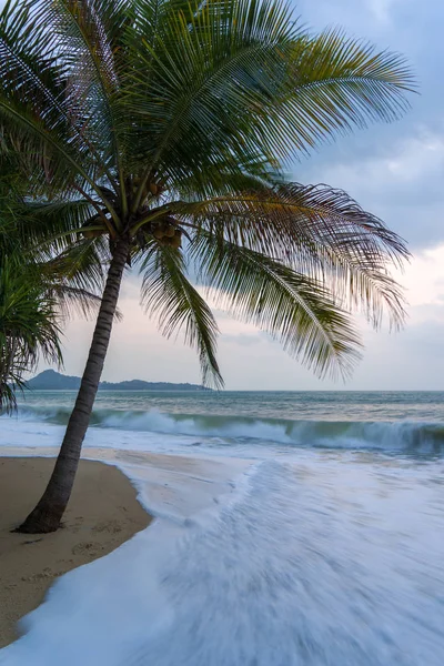 Sonnenuntergang Strand mit Palmen und schönem Himmel. — Stockfoto