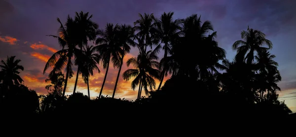 Sunset Beach con palme e bel cielo . — Foto Stock