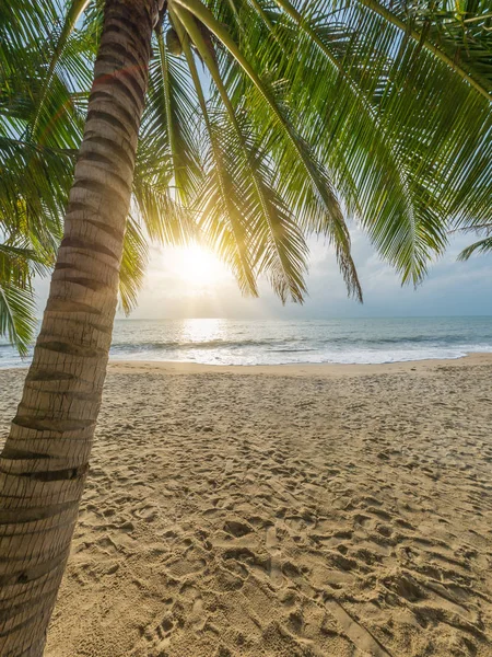 Bella spiaggia tropicale — Foto Stock