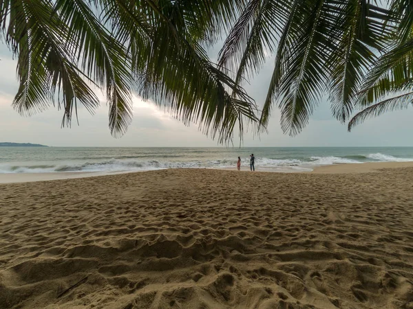Sunset Beach palmiye ağaçları ve güzel gökyüzü ile. — Stok fotoğraf