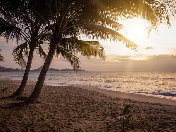 Tropischer Strand bei Sonnenuntergang — Stockfoto