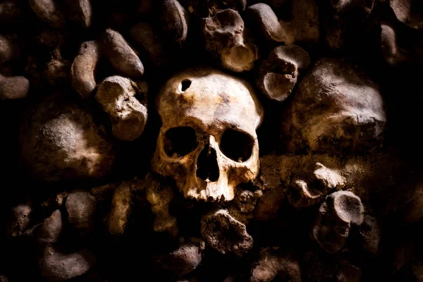 Schedels en botten in Parijse catacomben — Stockfoto