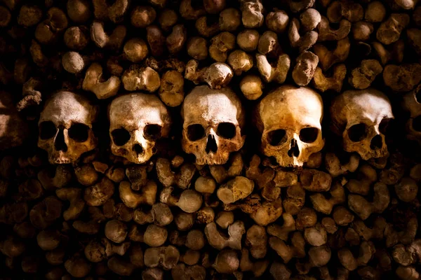 Schädel und Knochen in Pariser Katakomben — Stockfoto
