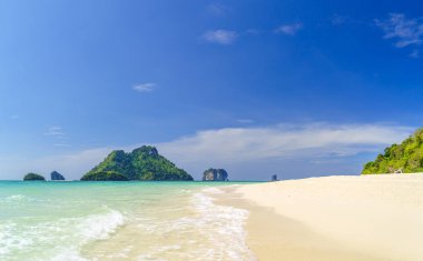 Palmiye ağaçları ile ıssız ve vahşi subtropikal Isle.