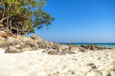 Güzel tropikal plaj avuç görünümünü. Tatil ve vacat