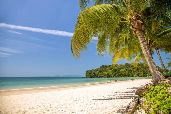 Pohled na pěkné tropické pláže s palmami a okolí. Dovolená a vacat — Stock fotografie