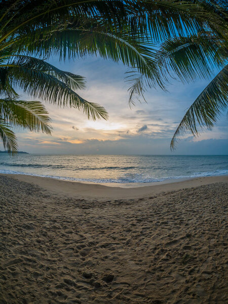 Exotic Paradise scene of Caribbean Island.